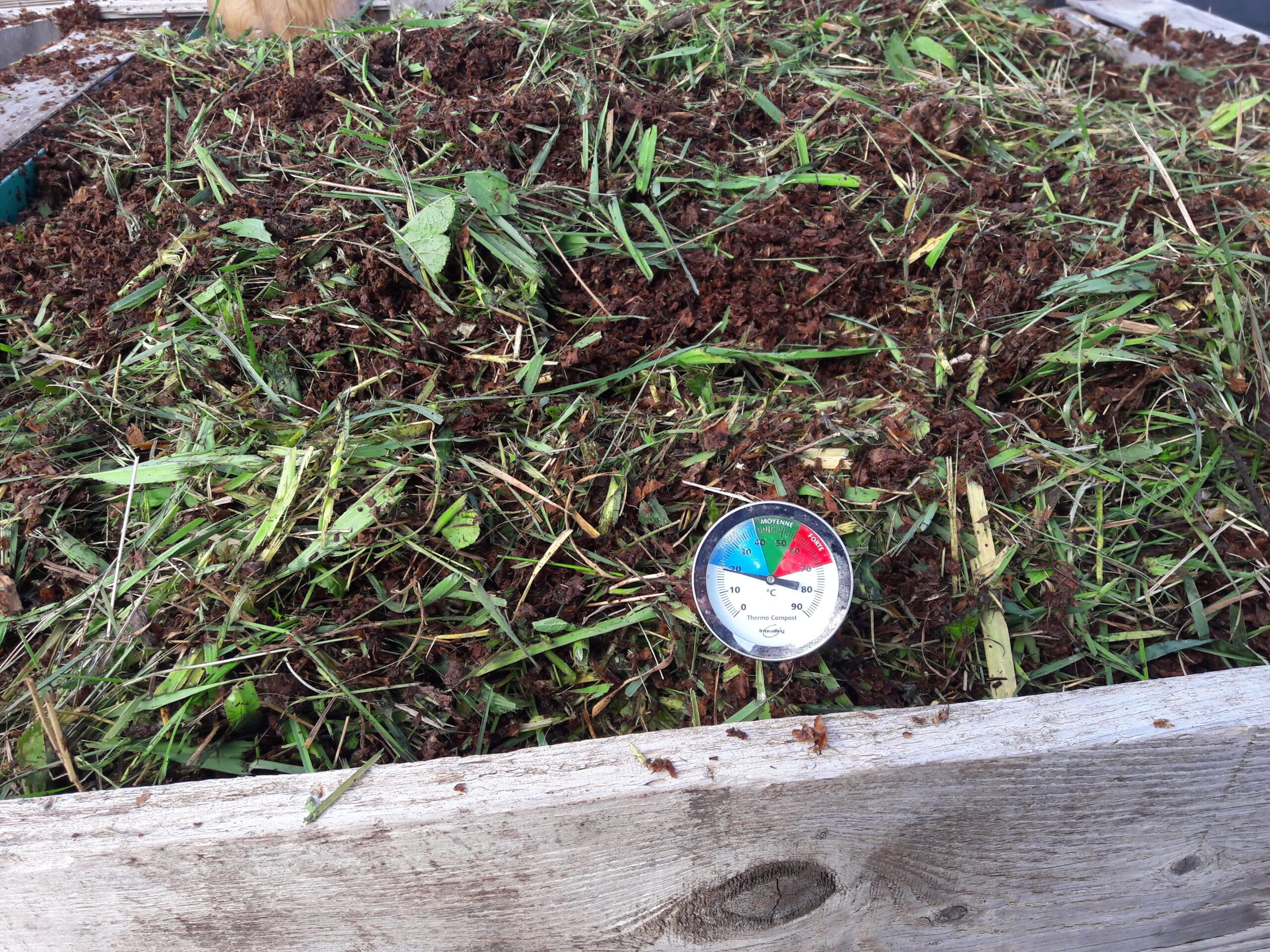 Photo du compost de toilettes sèches