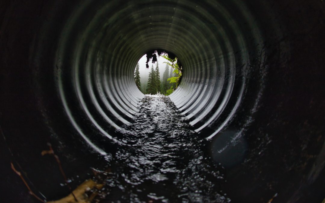 Le problème des eaux usées en France